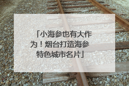 小海参也有大作为！烟台打造海参特色城市名片